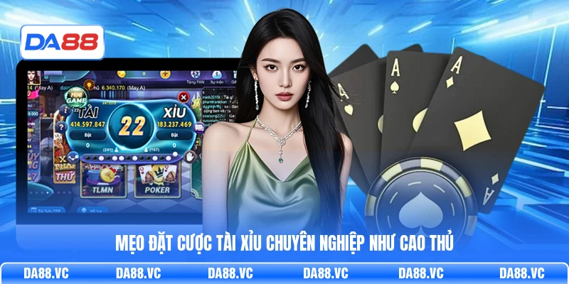 Mẹo đặt cược Tài Xỉu chuyên nghiệp như cao thủ
